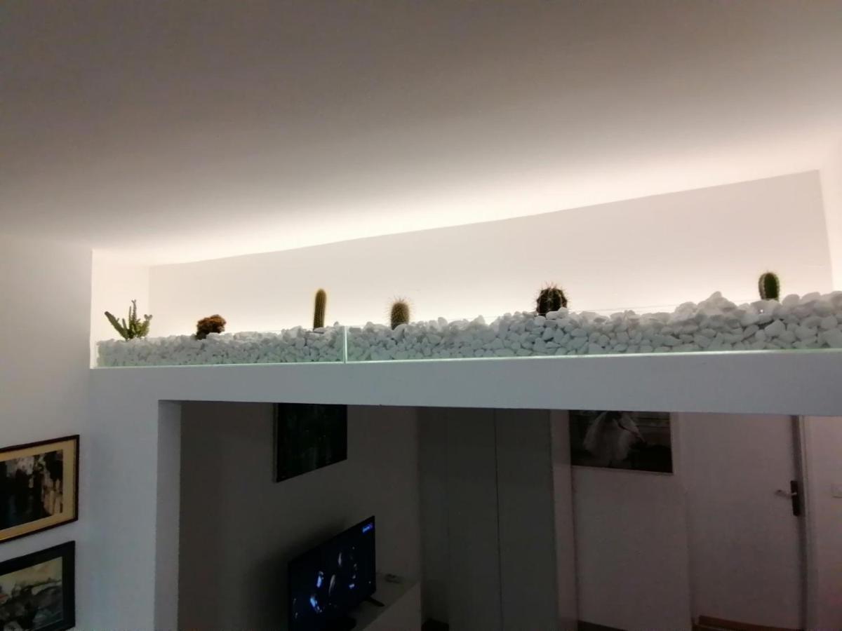 Apartman Dunja S Belgrád Kültér fotó