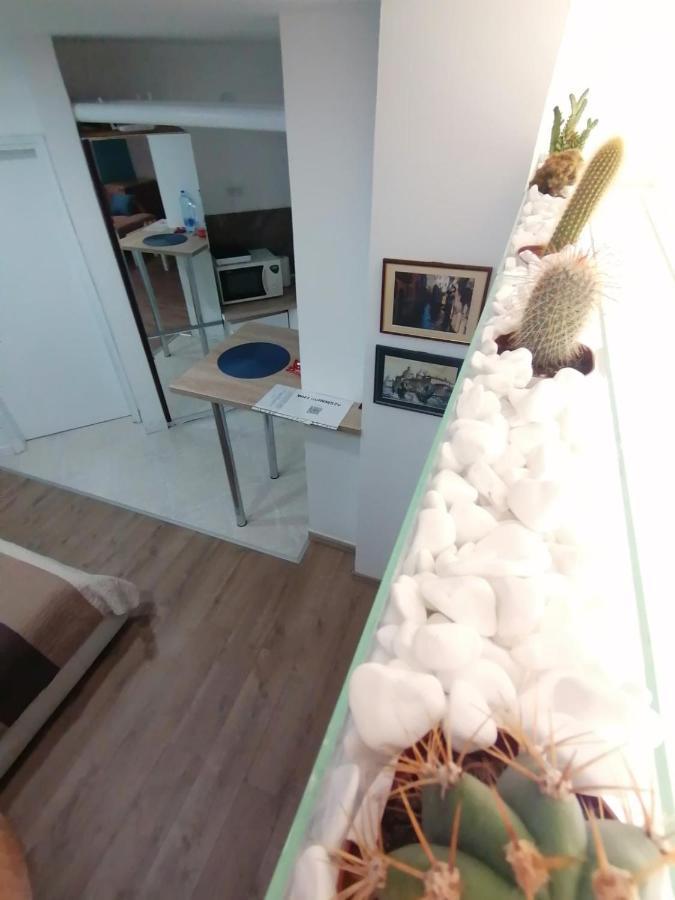 Apartman Dunja S Belgrád Kültér fotó